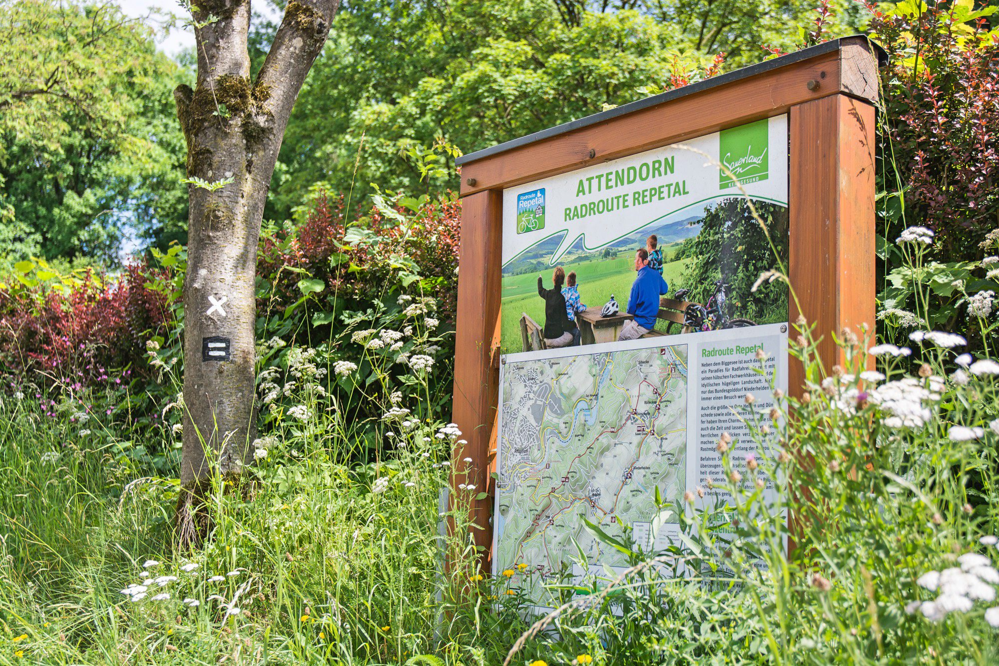 Home 1 radwege fotor